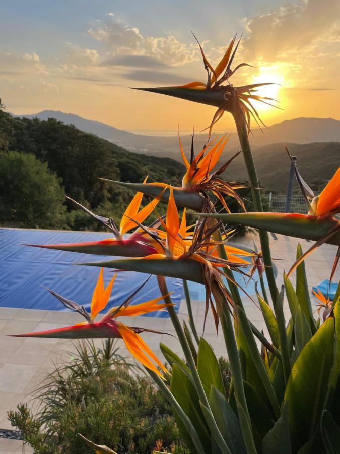 Villa U Tramontu Granace Экстерьер фото